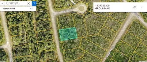 Havemeyer Street, North Port, FL 34288