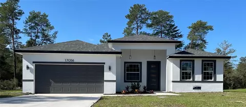 17056 SW 22nd Terrace Rd, Ocala, FL 34473