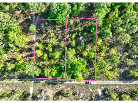 0 NE 16 Pl, Williston, FL 32696