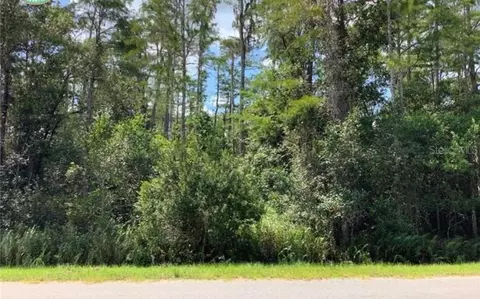 Robertson Street, Orlando, FL 32833