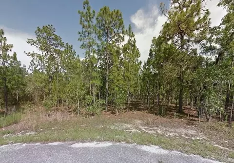 Silver Springs #25, Ocala, FL 34480