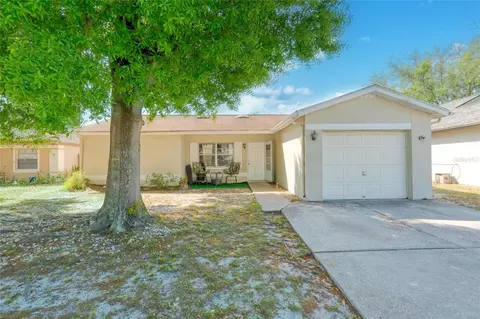 11343 Blackbark Dr, Riverview, FL 33579
