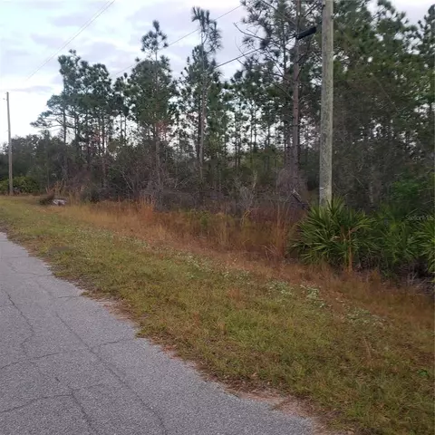 Nutmeg Street, Orlando, FL 32833