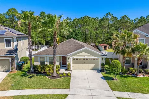 10666 Cabbage Tree Loop, Orlando, FL 32825