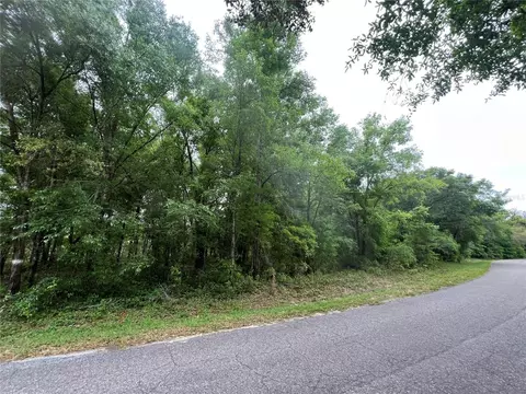 Guava Pass, Ocklawaha, FL 32179