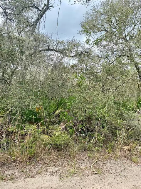14310 SE 213th Ct, Umatilla, FL 32784