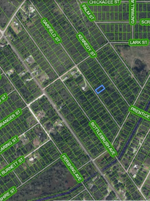 559 Garfield St, Lake Placid, FL 33852