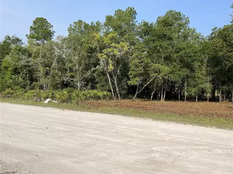 7123 Glenchester Dr, Webster, FL 33597