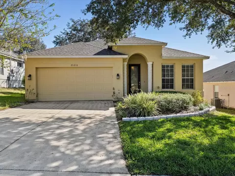 25233 Chipshot Ct, Mount Plymouth, FL 32776