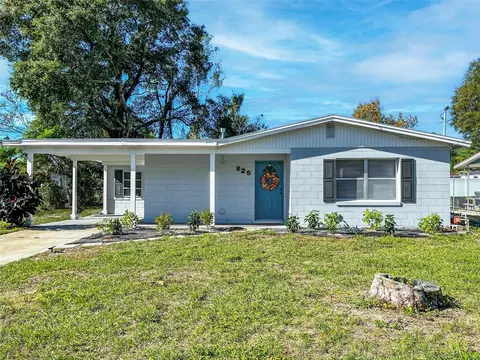 825 Pearl Dr, Mount Dora, FL 32757