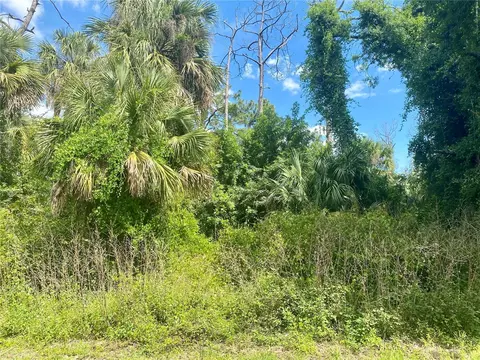 Cornsilk Terrace, North Port, FL 34286