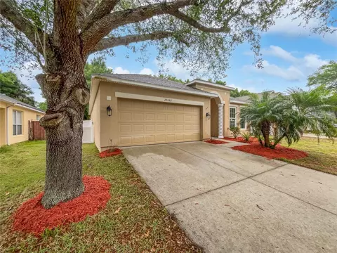 25107 Chipshot Ct, Sorrento, FL 32776