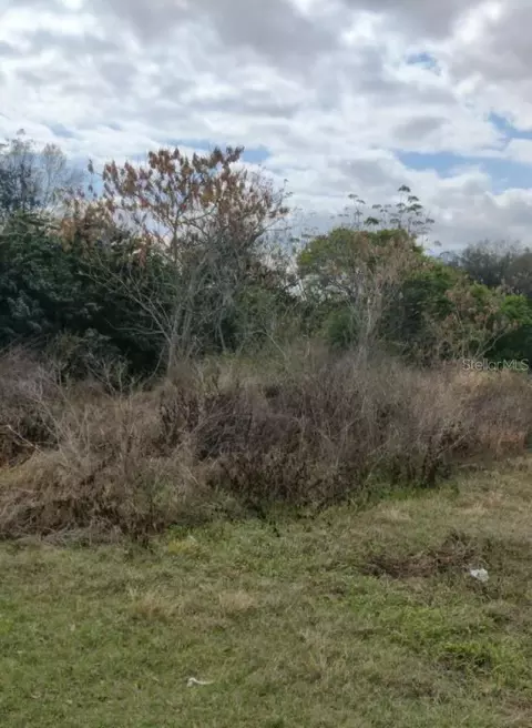 436 S Miami St, Lake Wales, FL 33853
