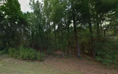 7957 N Hillview Cir, Citrus Springs, FL 34434