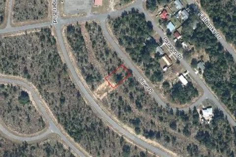 Olive Place, Chipley, FL 32428