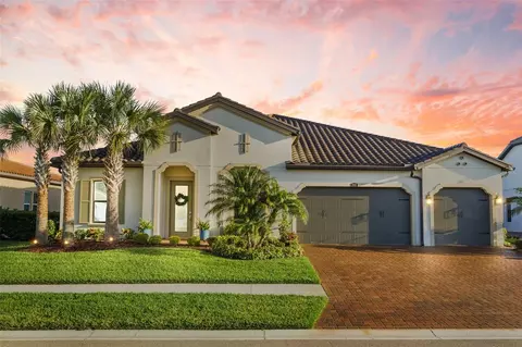 29091 Picana Ln, Wesley Chapel, FL 33543