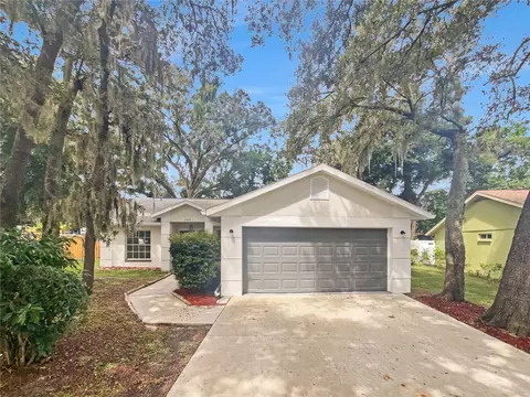2405 Woody Trace Ln, Tampa, FL 33612