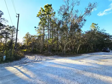6402 S Palmer Ave, Homosassa, FL 34446