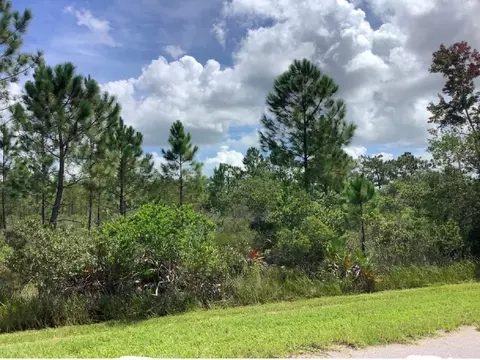 23382 Tex Wheeler Ave, Christmas, FL 32709
