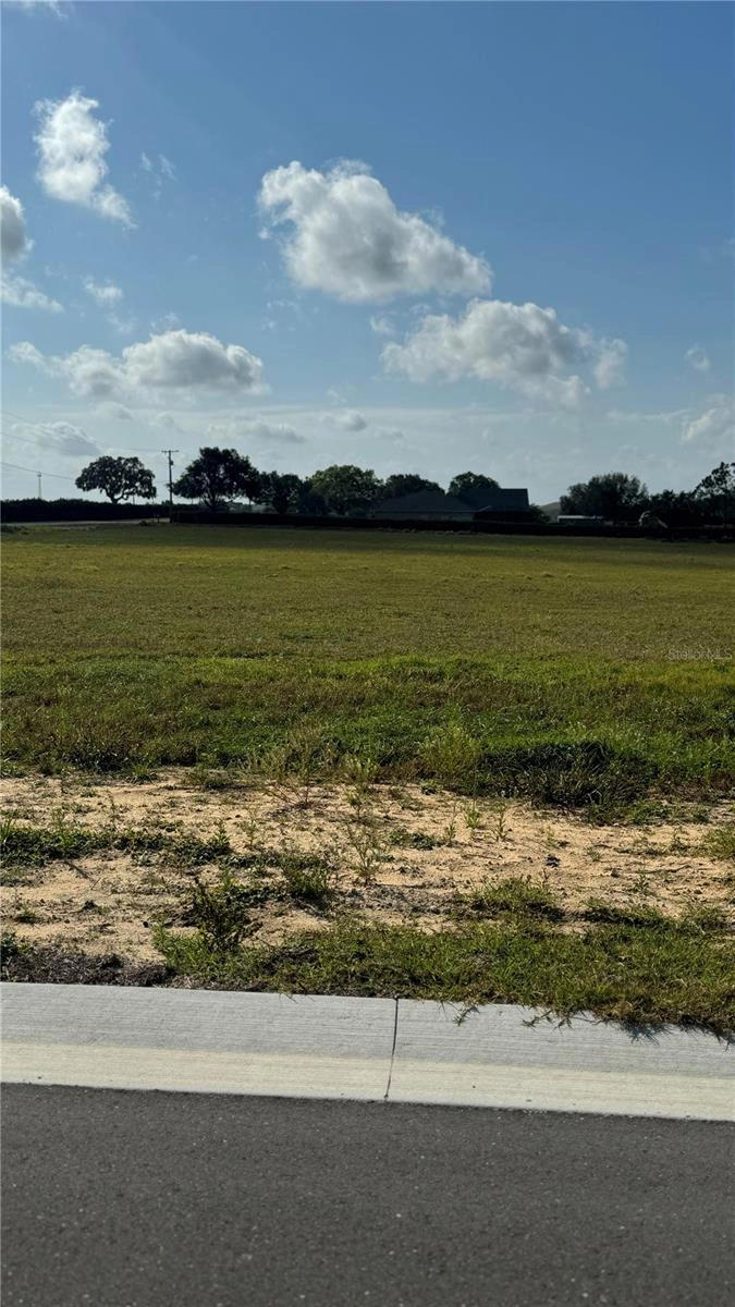 10022 White Egret Dr