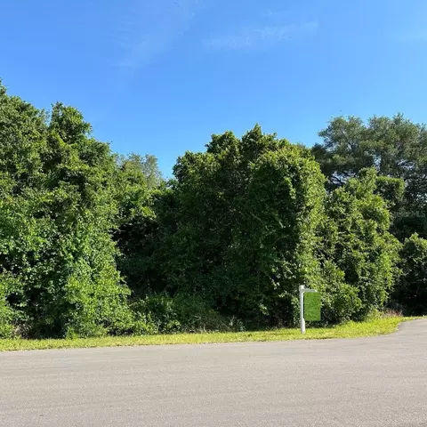 Nicole Avenue, Kissimmee, FL 34744