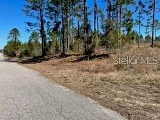 00 114th Pl SE, Dunnellon, FL 34431