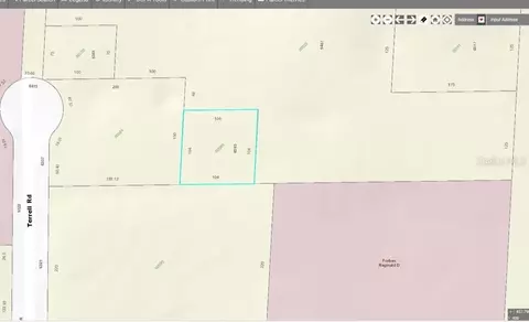 6593 Terrell Rd, Mount Dora, FL 32757 photo 1