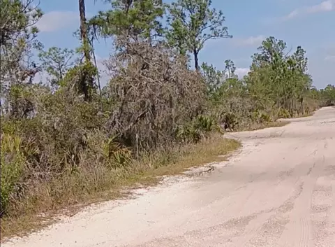 5525 Olive Rd, Sebring, FL 33875