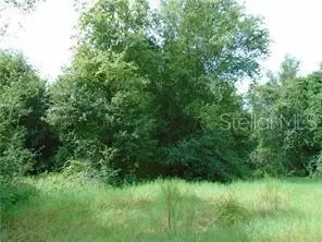 Joslyn Lane, Lady Lake, FL 32159