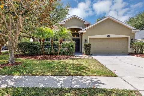 423 Fern Meadow Loop, Ocoee, FL 34761