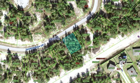 1332 Homosassa Dr, Poinciana, FL 34759