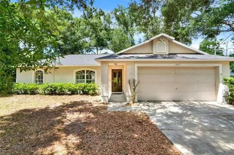 1289 10th St, Orange City, FL 32763
