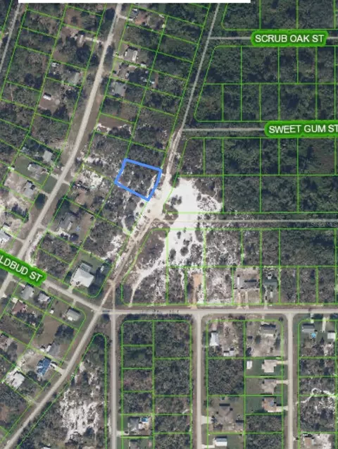 314 Bottlebrush Ave, Lake Placid, FL 33852