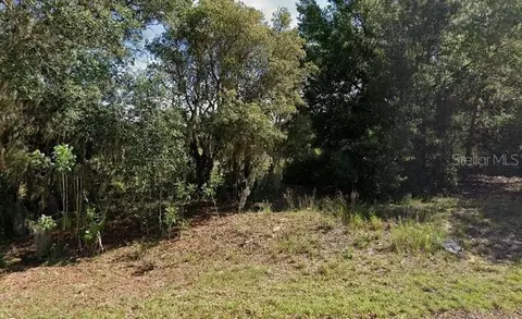 Malauka Loop, Ocklawaha, FL 32179