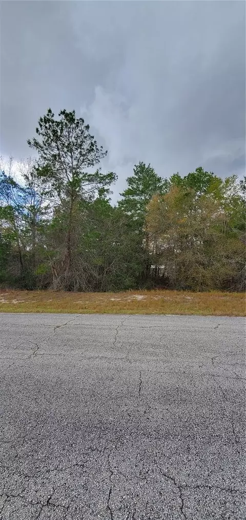 1428 Hillsborough Dr, Poinciana, FL 34759