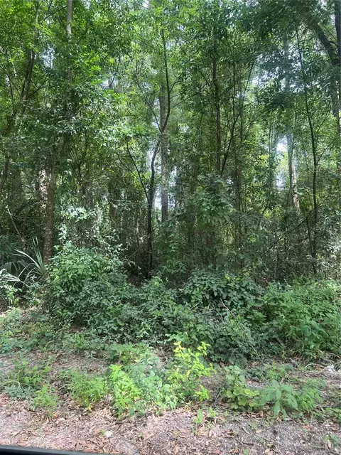se 135 lane, Summerfield, FL 34491