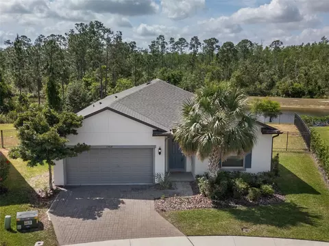 17464 Butterfly Pea Ct, Clermont, FL 34714