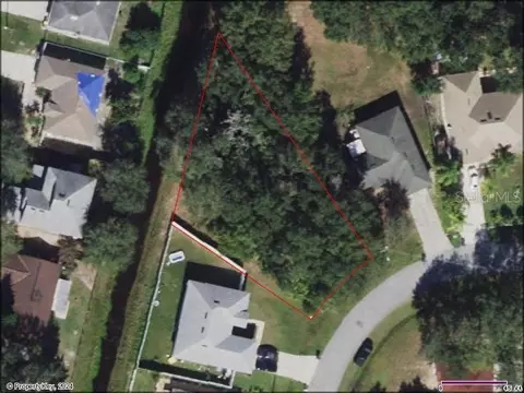 431 Lark Ct, Kissimmee, FL 34759