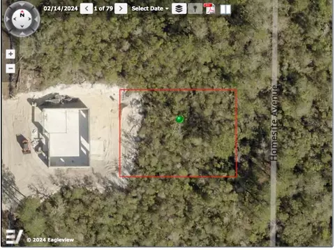 Homesite Avenue, Orange City, FL 32763