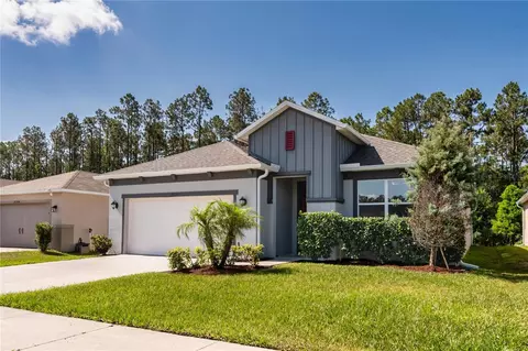 16350 Yelloweyed Dr, Clermont, FL 34714