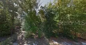 8180 W Nizza Ln, Crystal River, FL 34428
