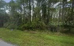 Carson Avenue, Babson Park, FL 33827