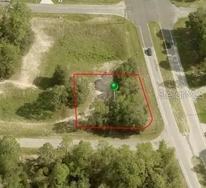 381 W Macon Ln, Citrus Springs, FL 34434