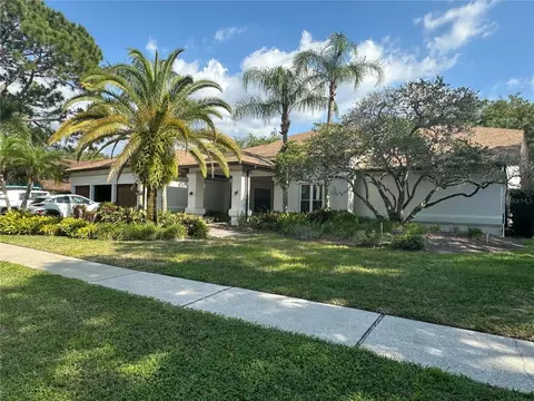 3314 Cheviot Dr, Tampa, FL 33618