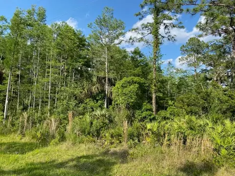 5165 Pierre Ave, Saint Cloud, FL 34773