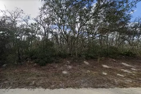 Coalstone Drive, Webster, FL 33597