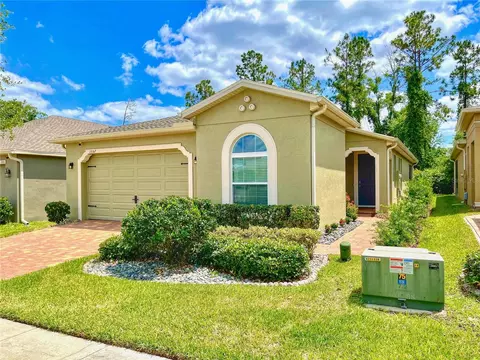 1557 Amber Leaf Cir, Ocoee, FL 34761