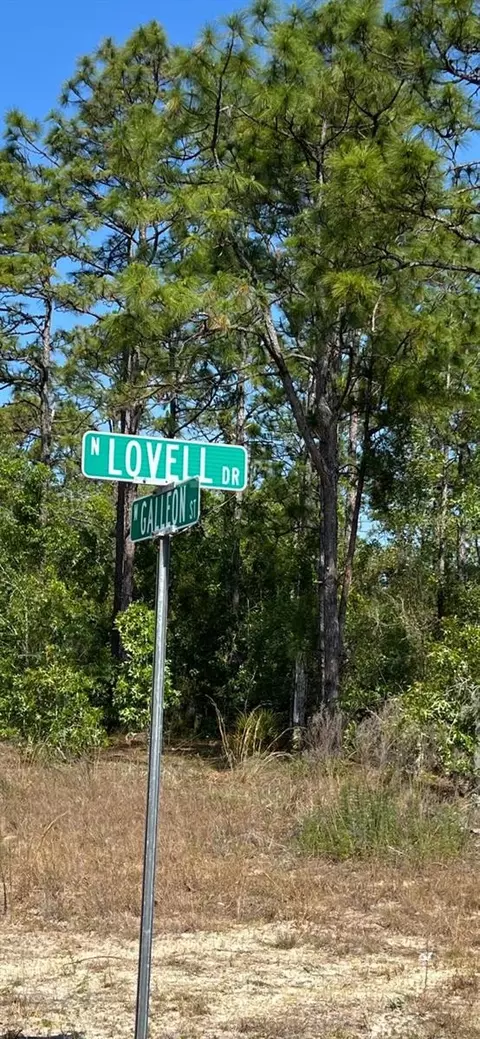 9750 N Lovell Dr, Dunnellon, FL 34433