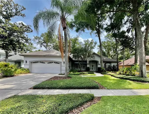 502 Stratfield Dr, Lutz, FL 33549