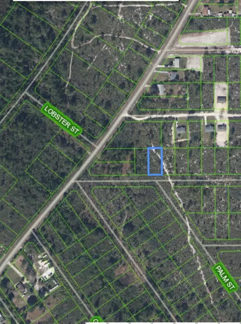 1394 Goldfinch St, Lake Placid, FL 33852